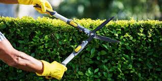 Landscaping, drives, patios and fencing. Garden Maintenance How To Choose The Right Gardening Service For You Racv