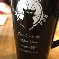Halloween black cat cafe oversize throw blanket micro fleece bat pumpkin envogue. Black Cat Cafe 10 Tips From 468 Visitors