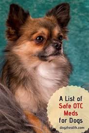 Pin On Meds For Dogs