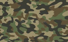 Background green green background camo camo background green camo abstract lines leaves green leaves bright light template backdrop nature veins halo color scenic spots element decoration. Print Camo Texture Military Camouflage Repeats Seamless Army Green Hunting Stock Vector Illustration Of Hunting Print 115511801