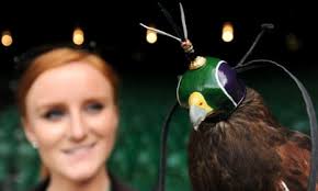 Obama in Africa and more from Glastonbury: the best news photographs of the  day