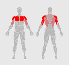 What i'm going to do is i'm going to simplify it by just saying i'm going to put what will appear to look like a 4th grade science project of a volcano. Upperbody Workout
