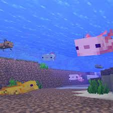 My take and fanart of the axolotl (my art no take) art. Axolotls Have Arrived In The Minecraft Caves And Cliffs Update Polygon