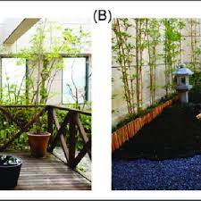 Pdf The Power Of Traditional Design Techniques The Effects Of Viewing A Japanese Garden On Individuals With Cognitive Impairment