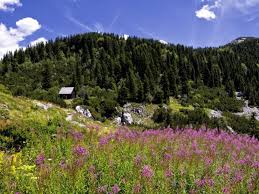 Obuhvata strogi rezervat hajdučke i . Nacionalni Park Sjeverni Velebit Planina Velebit Premuziceva Staza Lika Destination