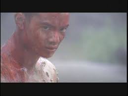 A Journey of Cosplay