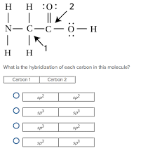 what is the hybridization of each carbon in this molecule