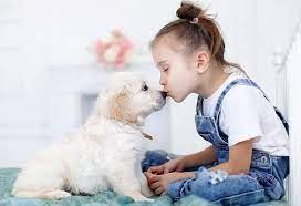Learn more about the causes, symptoms, and treatment options for anxiety disorders in children. 20 Best Dog Breeds For Kids