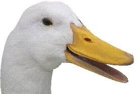 Aflac Know Your Meme