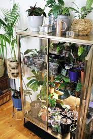 Ikea Plant Cabinet Diy How To Hack Ikea Rudsta Into A Greenhouse Life In 2021 Ikea Plants Plant Decor Diy Cabinets