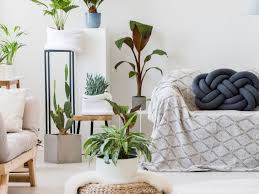 Dekorieren mit pflanzen einrichtungsinspo fur das wohnzimmer wohnzimmer pflanzen wohnzimmer dekorieren ikea wohnzimmer. Pflanzen Dekorieren So Setzt Ihr Euer Grun Perfekt In Szene