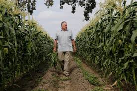 Silicon Valley holdout: 287-acre farm in the heart of sprawl