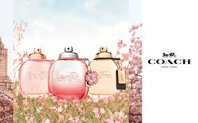 Online oder vor ort im markt kaufen. Coach Der Damenduft Von Coach Online Kaufen Parfum De
