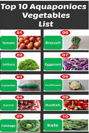 Pin On Gardening