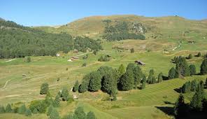 Dieser trägt auf seinen höchsten. Wiesen Der Seceda Groden Dolomiten Sudtirol