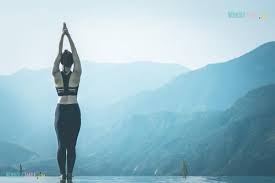 Mountain Pose Yoga Mountain Pose Yoga Cool Yoga Poses Yoga Poses For Beginners