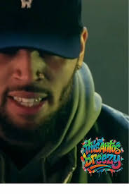 Party Hard Chris Brown