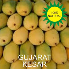 Get free home delivery and pay by cash on delivery. Gujarat Kesar Mango Kesar Aam