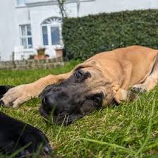 Bethany Carson (bethanycarson7)