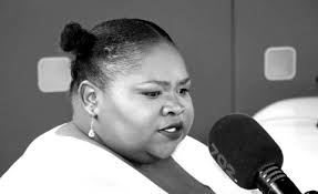 South Africa Mourns: Tshidi Madia's Funeral Service Underway in Germiston - Imagen principal del artículo