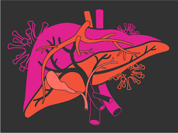 Хронический гепатит в и d. Hepatitis A B C D E What You Need To Know