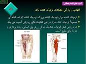 Image result for ‫دانلود پاورپوینت آسیب شناسی ورزشی‬‎