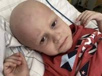 Money Box of the Donor Edyta Plebaniak