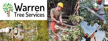 Schedule a free tree trimming or tree removal estimate in warrenton, virginia. Warren Tree Services Home Facebook
