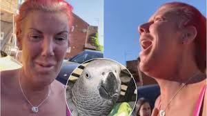 Woman who went viral for her missing parrot Chanel charged over £792k  cannabis haul