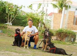 The pet sitter certificate course is an online learning program with suggested readings from the textbook (fabjob guide to become a pet sitter). Una Guarderia Para Sus Amigos De 4 Patas Faxinfo