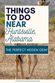 The animals are free to run, play, jump, frolic, and swim as they wish! Harmony Safari Park Wild Animal Reserve In Huntsville Updated June 2020