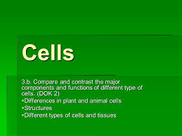 However, the impacts of these differences on the morphology (form and features) of plants and animals is noticeable. Cells 3 B Compare And Contrast The Major Components And Functions Of Different Type Of Cells Dok 2 Differences In Plant And Animal Cells Structures Ppt Download