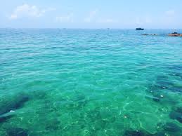 We did not find results for: Pulau Salah Namo Surganya Wisata Di Sumatera Utara Destinasi Travel Indonesia