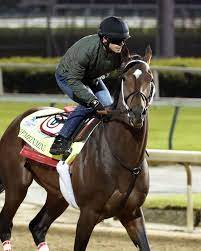 Maybe you would like to learn more about one of these? Slideshow Meet The 2021 Preakness Stakes Contenders America S Best Racing