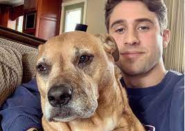 Jun 22, 2021 · katie has already shown that she has some early favorites like greg grippo, connor brennan, justin glaze and the two micheals, michael allio and michael planeta. Greg Grippo Meme Gets Attention From Fans Katie His Sister