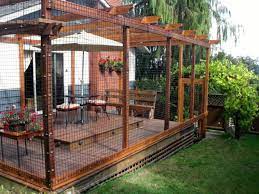 Cara bikin dan resep makanan untuk kucing persia agar sehat cepat gemuk & tips membuatnya sendiri di rumah. Desain Kandang Kucing Kayu Info Kece