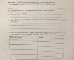 What is the importance of plant cell parts and functions explain. Analysis And Conclusion What Structures Organelles Chegg Com