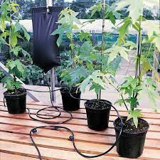 Bag Drip Watering Kit With Two Add On Bags Plant Watering System Drip Irrigation Plants