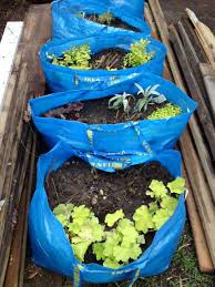 Trofast Indoor Composting Worm Bin And Ikea Blue Bags As Dirt Movers Ikea Hackers Portable Garden Veggie Garden Ikea Garden