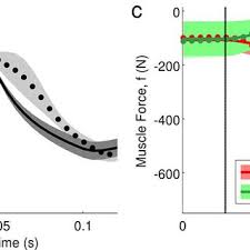 We did not find results for: Pdf Modeling And Identification Of A Realistic Spiking Neural Network And Musculoskeletal Model Of The Human Arm And An Application To The Stretch Reflex