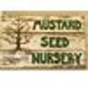 View their 2021 profile to find tuition cost, acceptance rates, reviews and more. Mustard Seed Nursery Cullman Al Alignable