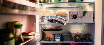 Refrigerator warming up, frozen coils, works for two. Refrigerators And Climate Change Office For Science And Society Mcgill University
