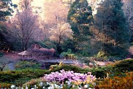 National Rhododendron Gardens By Rh Photography Beautiful Places To Visit Beautiful Places What A Beautiful World