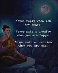 Never Reply When You Are Angry Positive Vibes Quotes Angry Quote Vibe Quote