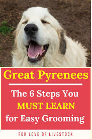 Grooming Great Pyrenees And Other Livestock Guardian Dog Breeds The Ultimate Guide Great Pyrenees Livestock Guardian Dog Great Pyrenees Dog