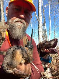 Area to hunt quail, grouse, turkey near Forks?