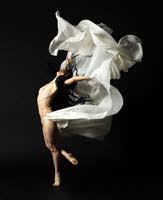 Resultado de imagen para lois greenfield