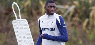 Leeds vs Spurs: Who Will Dominate? Injury Updates & Match Predictions! - Imagen principal del artículo