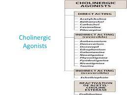 Pin By Fawna Allen On Ta For Pharmacology Cholinergic Agonist Pharmacology