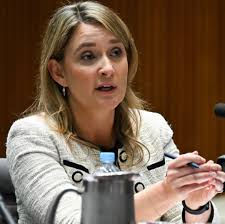 Leadership changes at Optus: CEO Kelly Bayer Rosmarin resigns